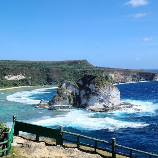 Bird Island Image